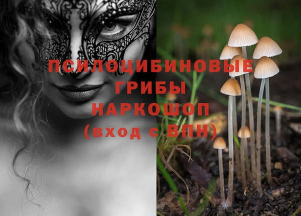 экстази Горняк