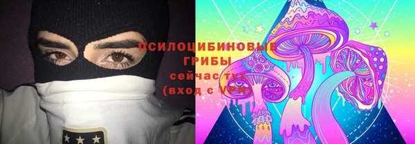 экстази Горняк