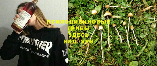 apvp Горнозаводск