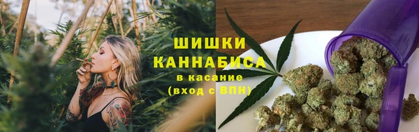 apvp Горнозаводск